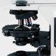 Olympus BX53P Polarize Mikroskop