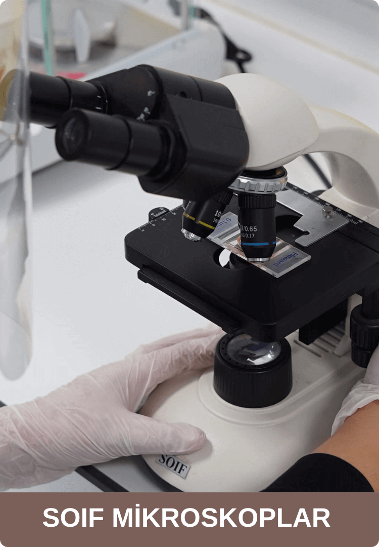 SOIF Mikroskop