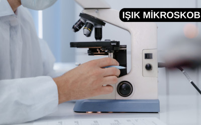Işık Mikroskobu Nedir? Kullanım Alanları ve Avantajları