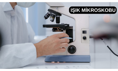 Işık Mikroskobu Nedir? Kullanım Alanları ve Avantajları