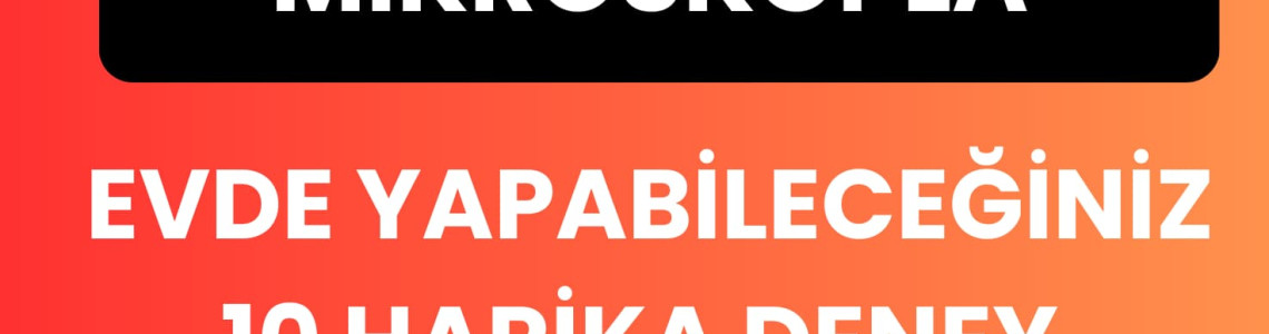Mikroskopla Görünmeyeni Görün : Evde Yapabileceğiniz 10 Harika Deney Mikroskopla Görünmeyeni Görün : Evde Yapabileceğiniz 10 Harika Deney