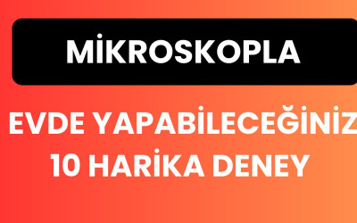 Mikroskopla Görünmeyeni Görün : Evde Yapabileceğiniz 10 Harika Deney