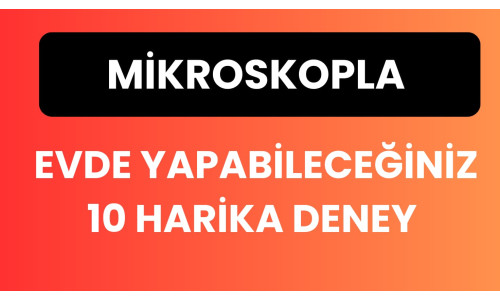 Mikroskopla Görünmeyeni Görün : Evde Yapabileceğiniz 10 Harika Deney